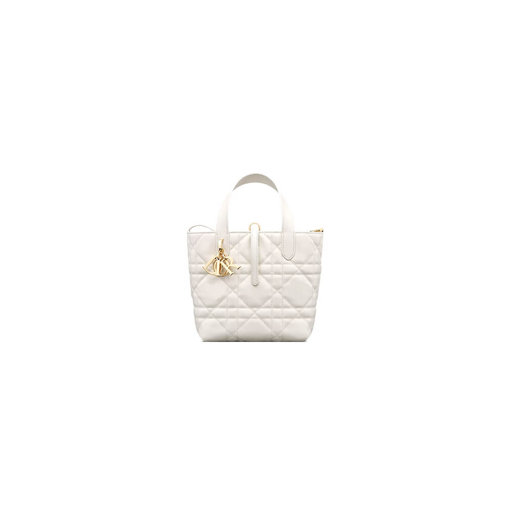 Small Dior Toujours Vertical Tote Bag
