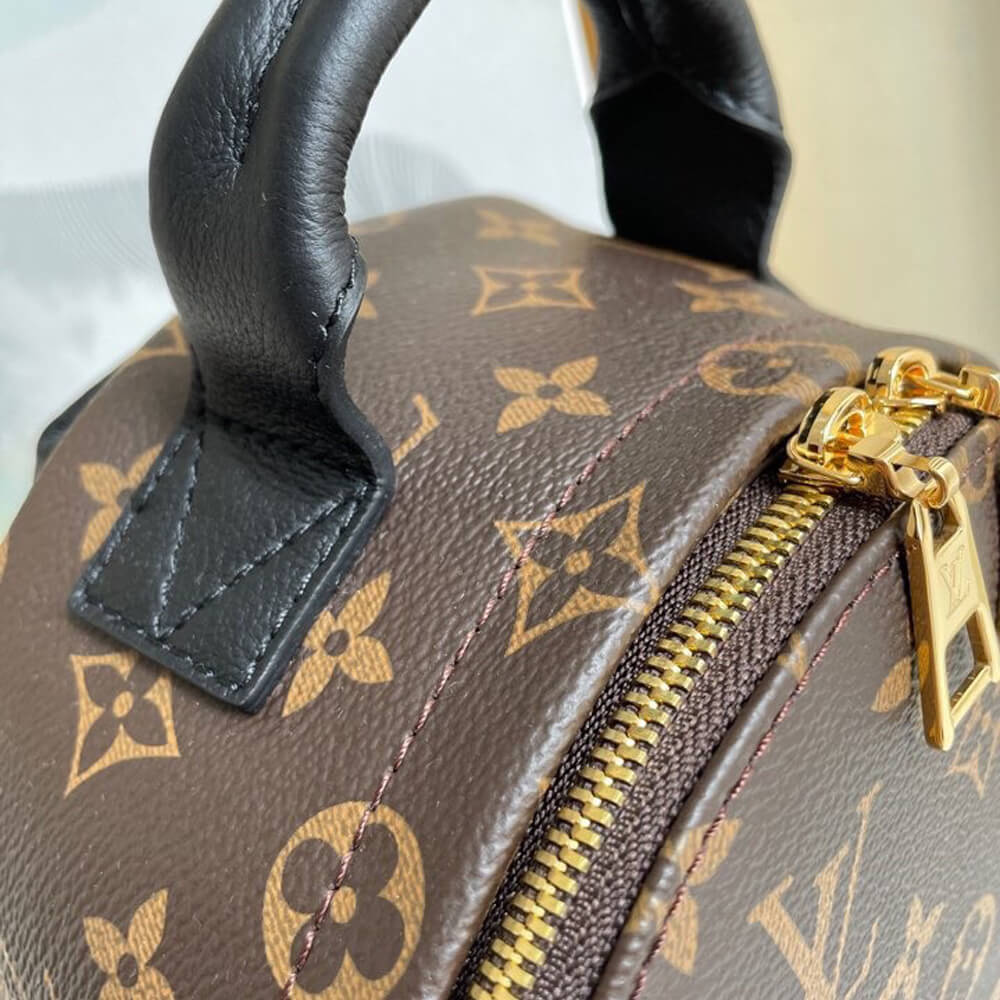 Louis Vuitton PALM SPRINGS PM - Image 6