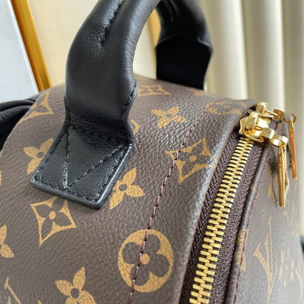 Soft Louis Vuitton PALM SPRINGS PM - Image 6